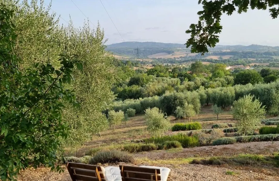 Casale Terre Rosse Garden-1